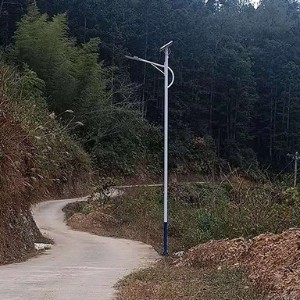 福建省6米太陽能路燈龍巖市上杭縣通賢鎮(zhèn)照明